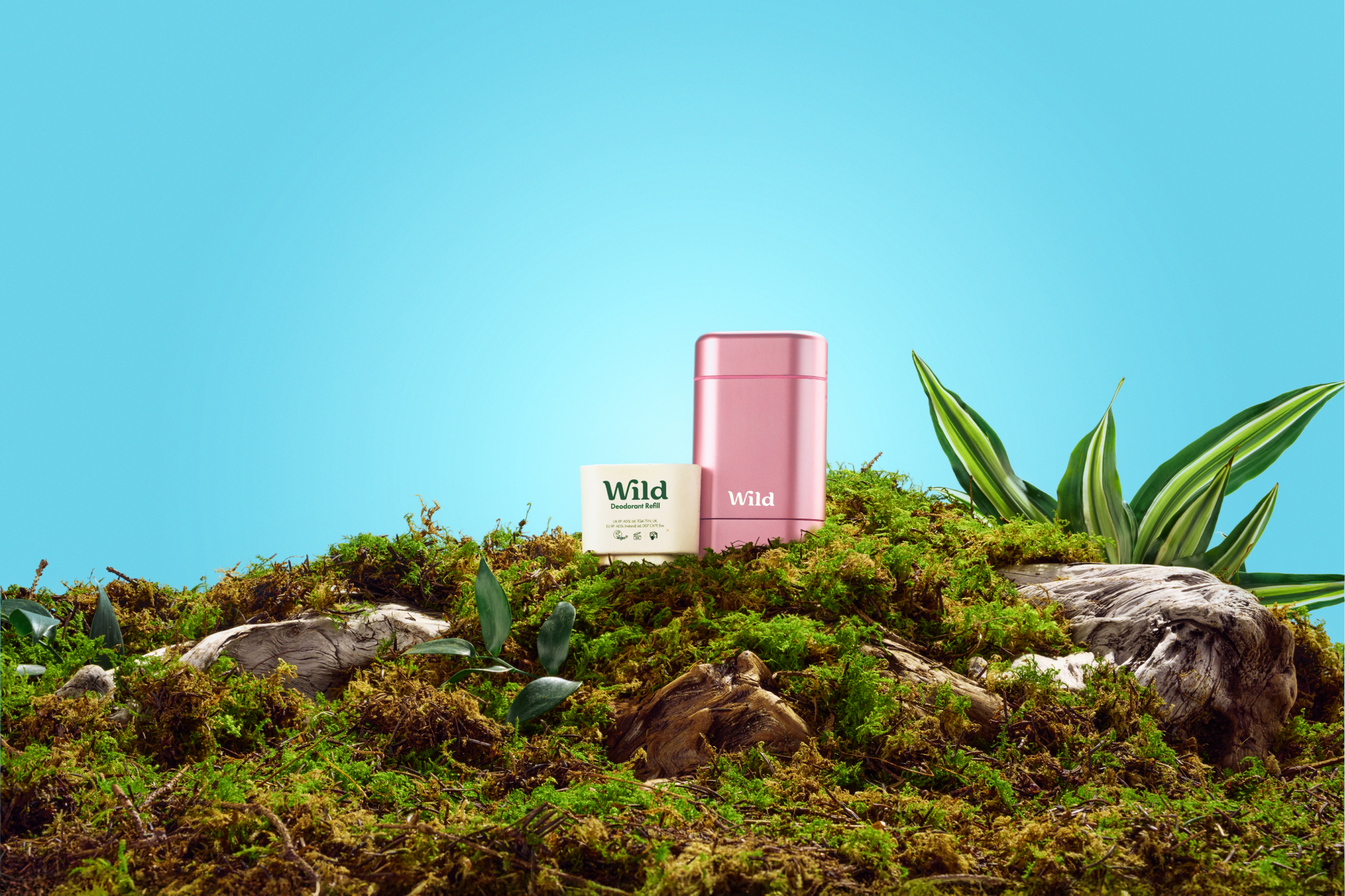 Caption: a pink box sitting on top of a moss covered hill
