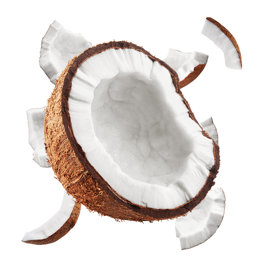 Caption: a coconut cut in half on a white background