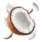 Caption: a coconut cut in half on a white background