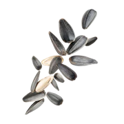 Caption: a bunch of sunflower seeds on a white background