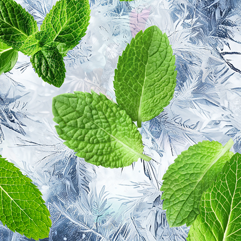 Caption: a group of green leaves sitting on top of ice