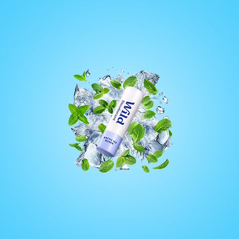 Légende : un tube de dentifrice entouré de feuilles de menthe