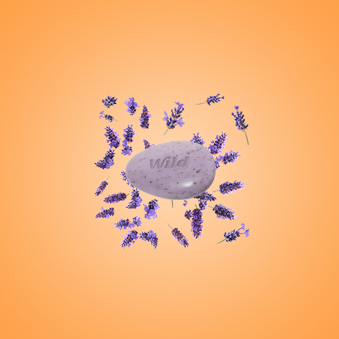 Légende : un rocher entouré de fleurs lavande sur fond orange