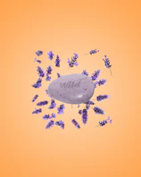 Caption: a rock surrounded by lavender flowers on an orange background