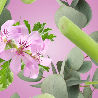 Caption: pink flowers and green leaves on a pink background