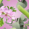 Caption: pink flowers and green leaves on a pink background