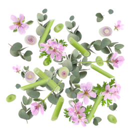 Bijschrift: roze bloemen en groene bladeren op een witte achtergrond