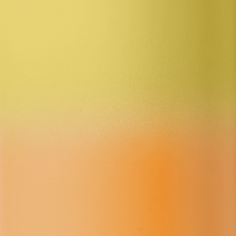 Didascalia: un primo piano di una bottiglia di vino