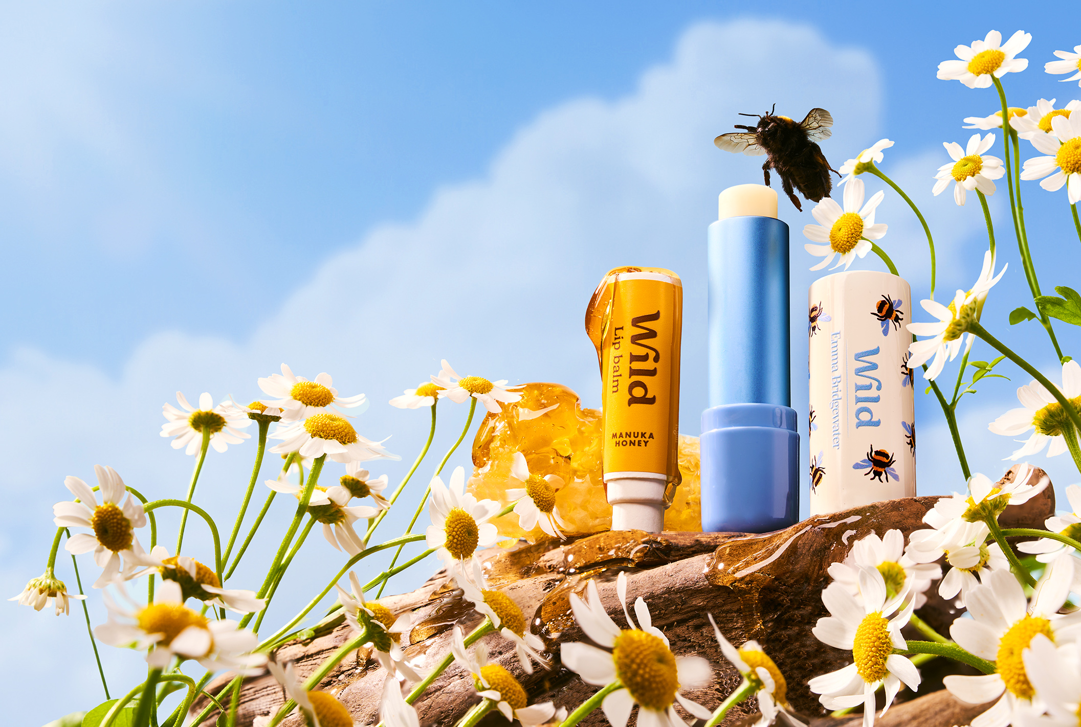 Légende : un tas de balles à lèvres de différents types sur une souche d'arbre