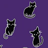 Caption: a group of black cats sitting next to each other