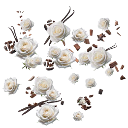 Caption: a bunch of white roses and chocolate pieces