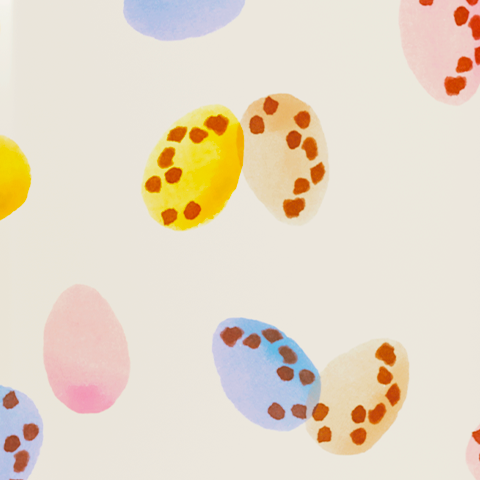 Bildunterschrift: ein Haufen bunter Eier auf einer weißen Fläche