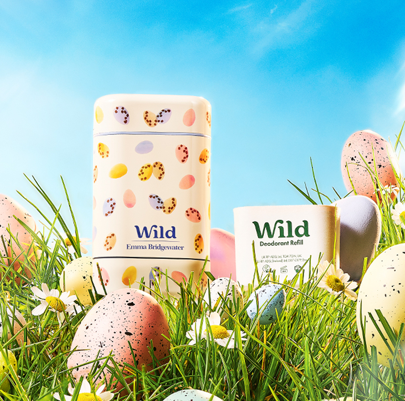 Caption: a bunch of eggs that are in the grass