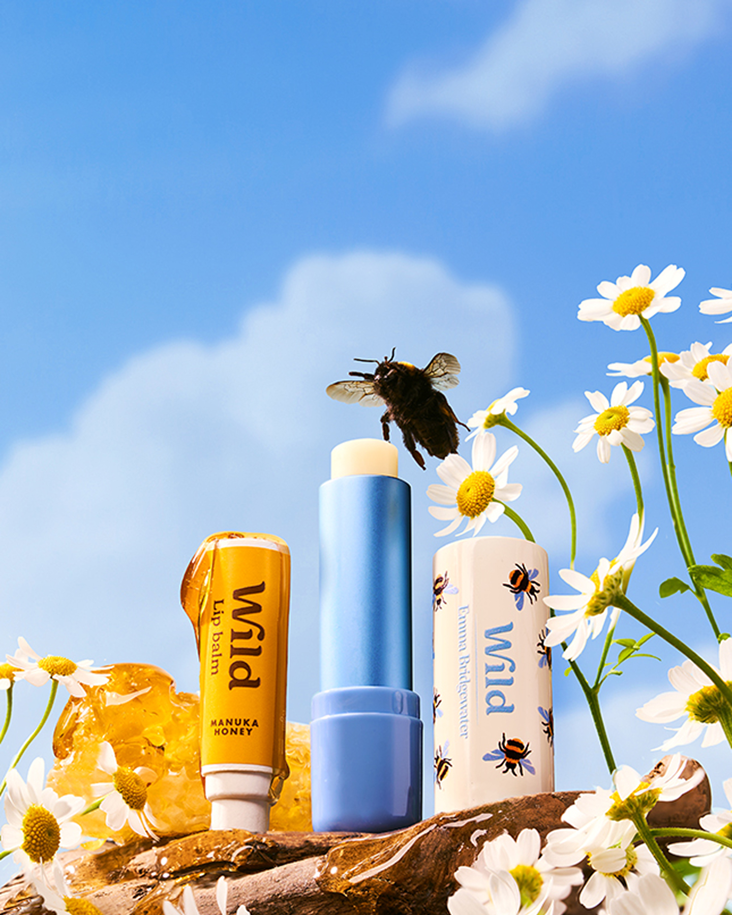honey bee