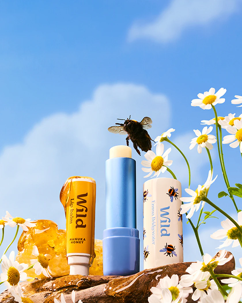 honey bee