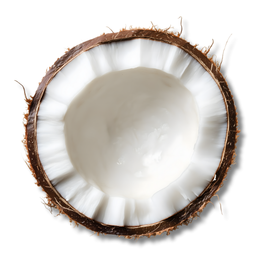 Caption: a close up of a coconut with a black background