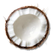 Caption: a close up of a coconut with a black background