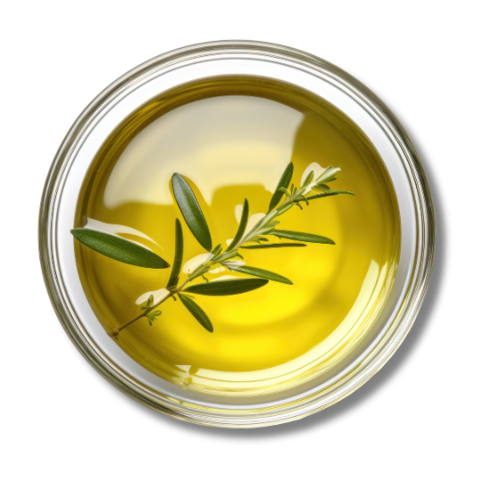Caption: a bowl of olive oil with a sprig of olive