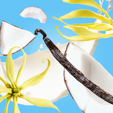 Légende : une fleur blanche et jaune avec un ciel bleu en arrière-plan