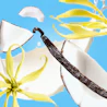 Caption: a white and yellow flower with a blue sky in the background