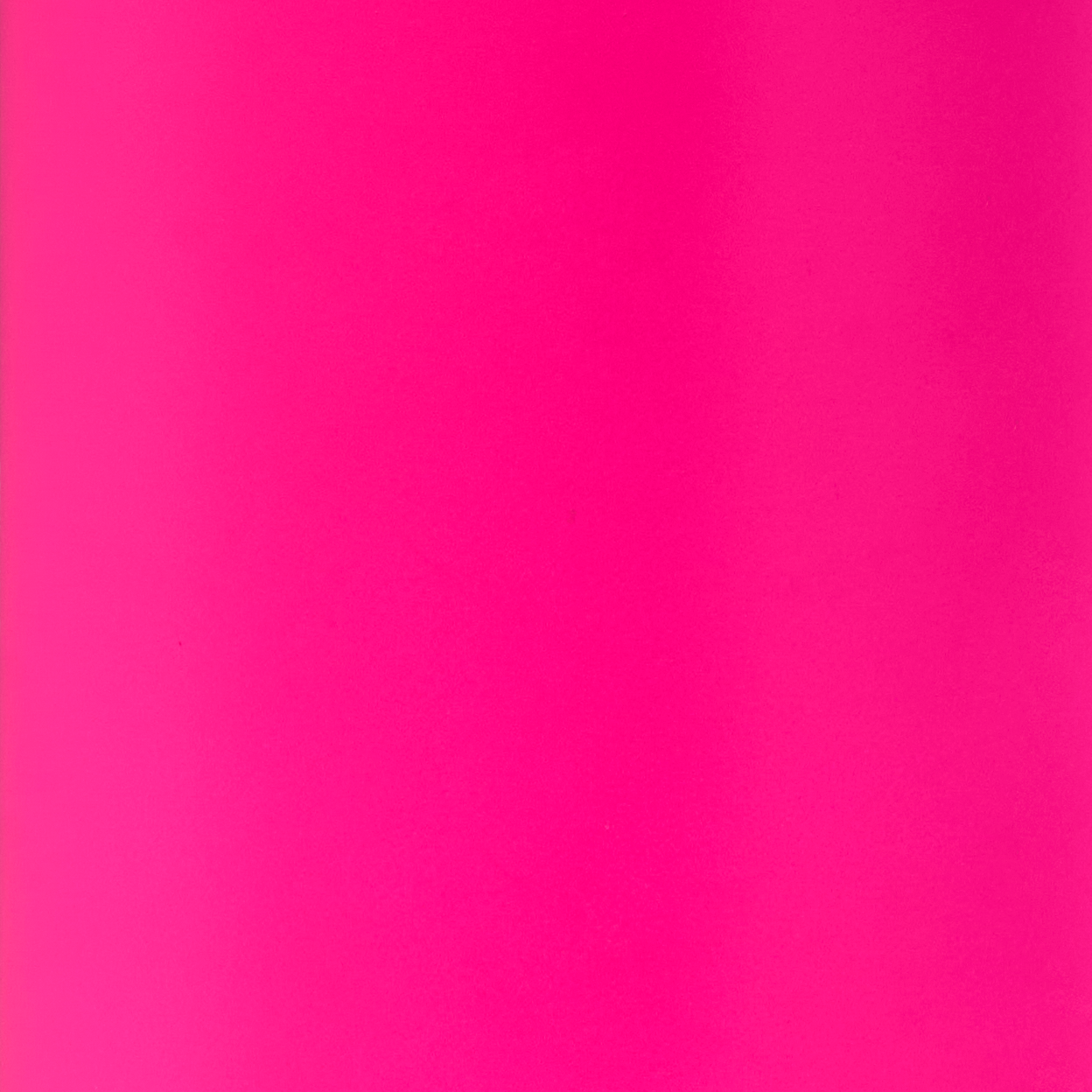 Légende : gros plan sur un fond rose vif