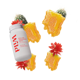 Caption: a can of jam sitting on top of a cactus