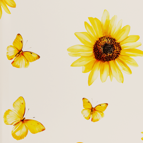 Légende : groupe de papillons volant autour d'un tournesol