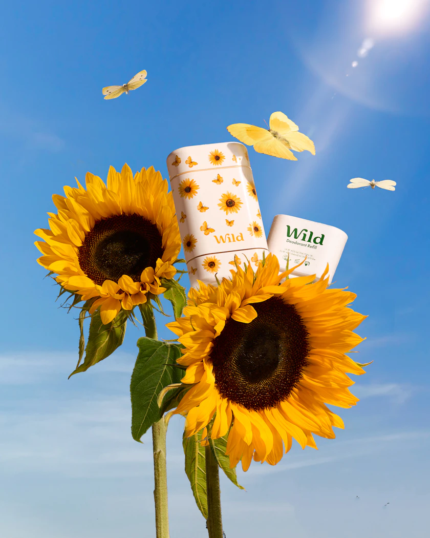 Caption: two sunflowers with a white box on top of them