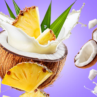 Bildunterschrift: ein Bild von einer Kokosnuss und einem Stück Ananas