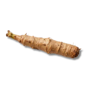Caption: a close up of a tube of carrot on a black background
