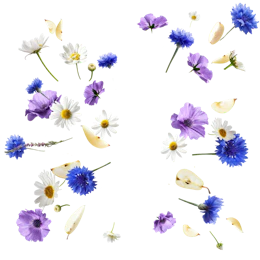 Caption: a bunch of flowers that are on a white surface