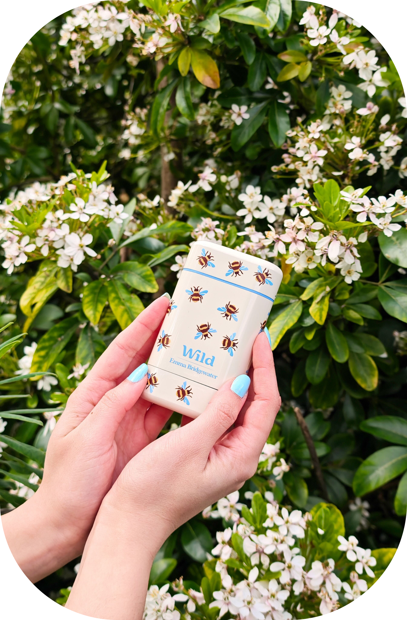 Caption: a person holding a small device in their hand