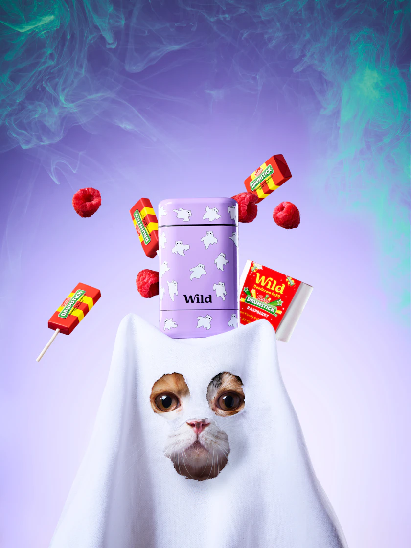 Caption: a white cat wearing a ghost costume with candy on top of it
