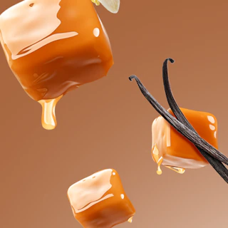 Caption: a caramel and vanilla ice cream float in the air