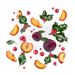 Bildunterschrift: eine Zeichnung von Früchten und Stechpalmen auf weißem Hintergrund