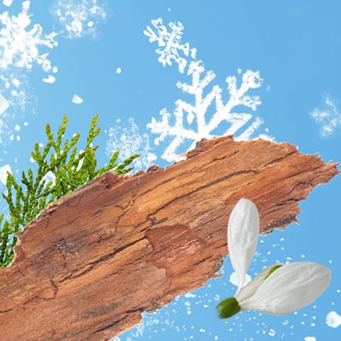 Légende : un flocon de neige et une fleur sur un morceau de bois