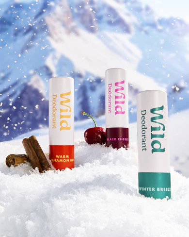 Bildunterschrift: eine Gruppe von drei Lippenballen, die auf einem Schneehaufen sitzen