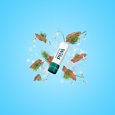 Légende : un tube de dentifrice entouré de flocons de neige