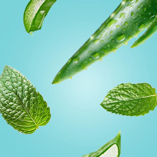 Caption: a group of green leaves floating in the air
