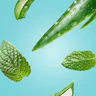 Caption: a group of green leaves floating in the air