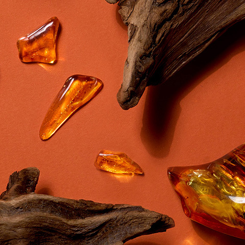 Didascalia: un primo piano di alcuni oggetti in vetro su un tavolo