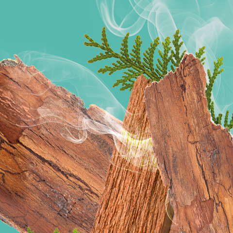 Didascalia: un pezzo di legno da cui esce del fumo