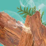 Caption: a piece of wood with smoke coming out of it