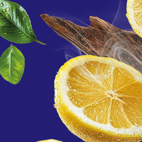 Caption: a blue background with oranges, cinnamons, and leaves
