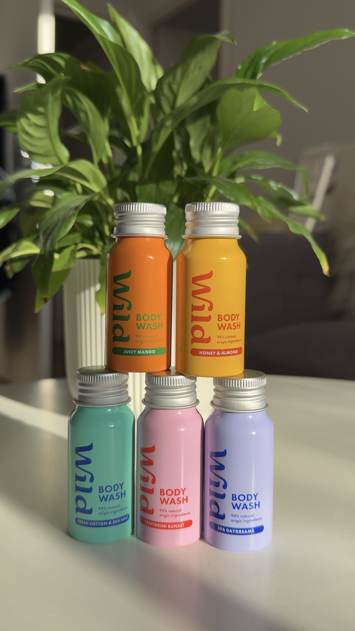 Caption: a group of four different colored jars sitting next to a potted plant