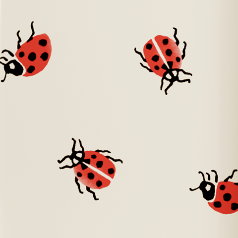 Caption: a pattern of ladybugs on a white background