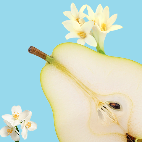 Caption: an apple cut in half next to a flower