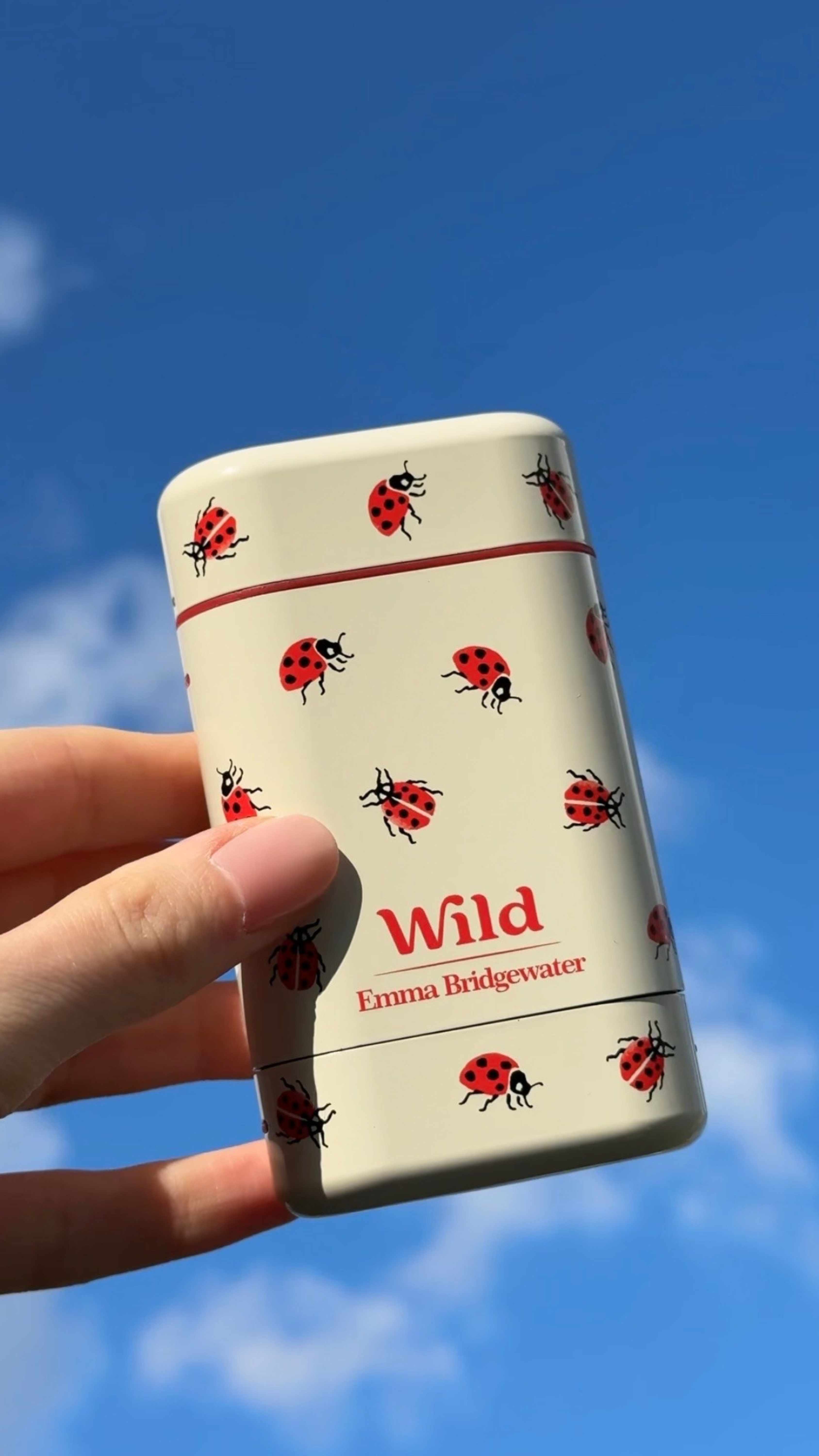 Caption: a hand holding a lighter with ladybugs on it
