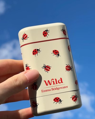 Légende : une main tenant un briquet orné de coccinelles