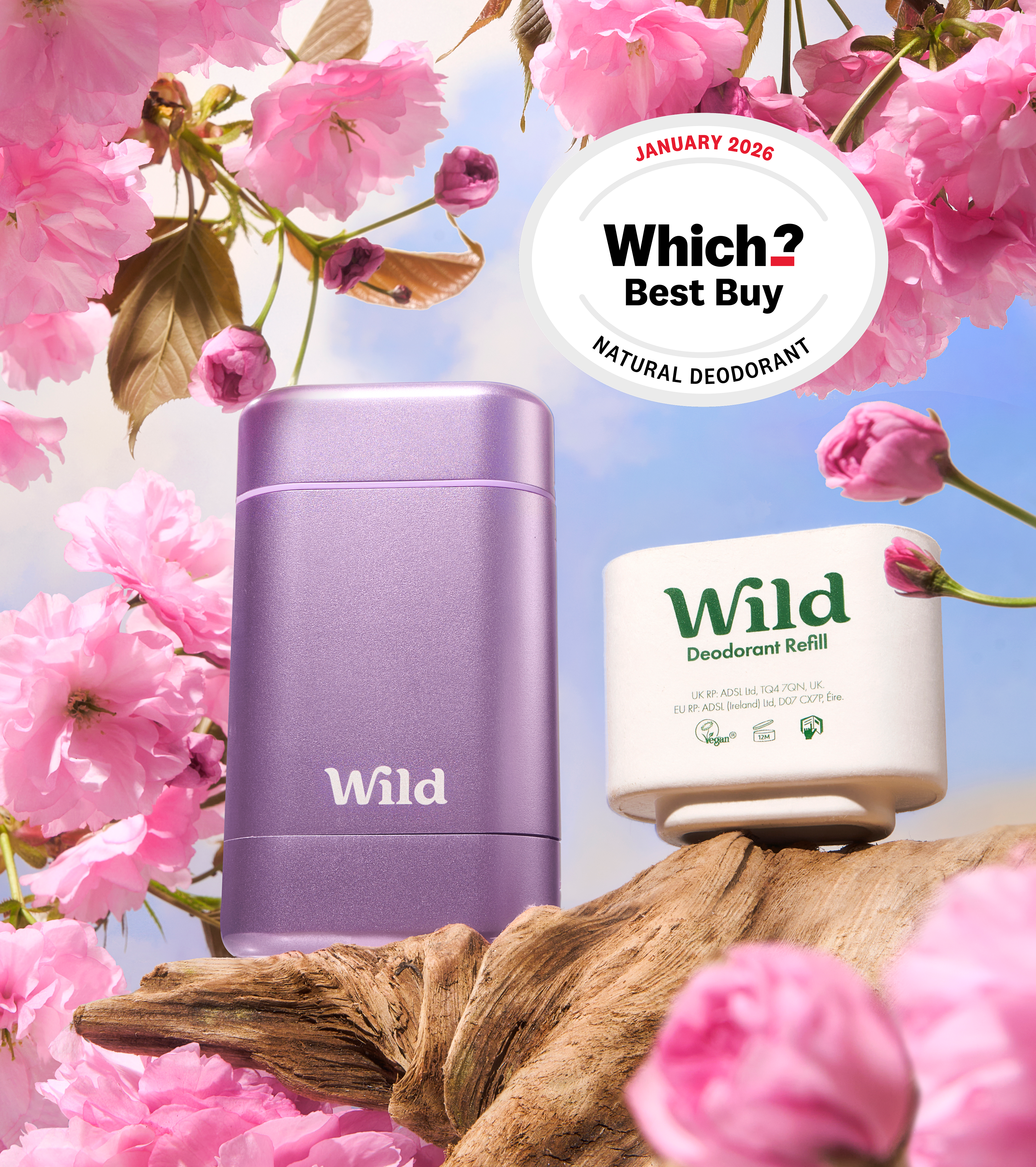 Caption: a couple of items that are sitting on a tree